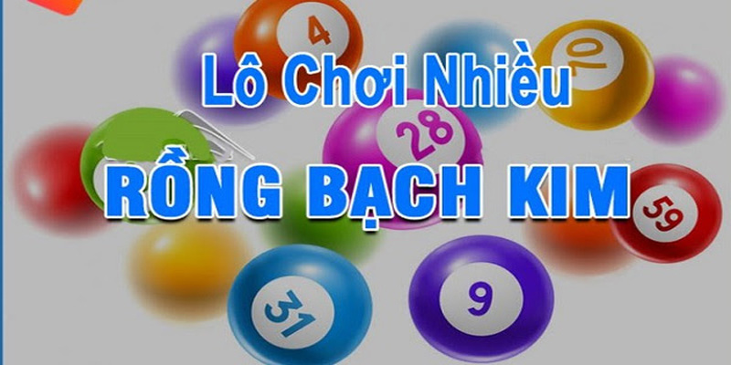 Những thông tin chi tiết về Soi cầu rồng bạch kim