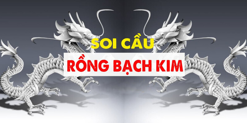 Soi cầu rồng bạch kim âm dương